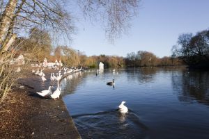 heaton hall lake sm.jpg